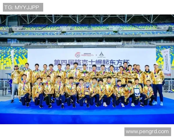 南京足球队在联合会杯中的灵活性表现分析与点评