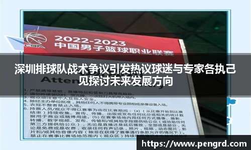 深圳排球队战术争议引发热议球迷与专家各执己见探讨未来发展方向